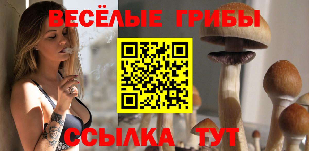 Галлюциногенные грибы прущие грибы  Вход с VPN  Екатеринбург 